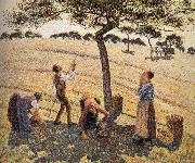 Camille Pissarro Apple picking oil painting reproduction